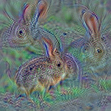n02325366 wood rabbit, cottontail, cottontail rabbit